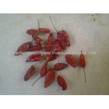 Longi Chili Supplier